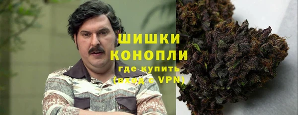 амф Каменногорск