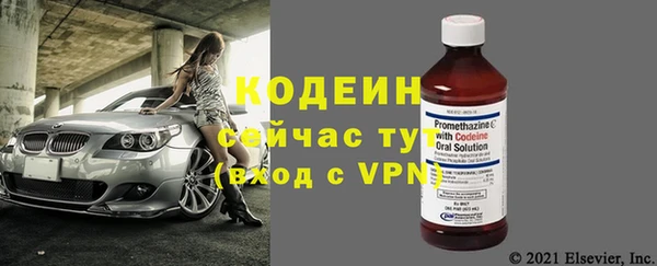 спиды Каменка
