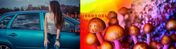 spice Зеленодольск