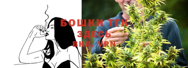 спиды Каменка