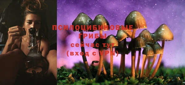 спиды Каменка