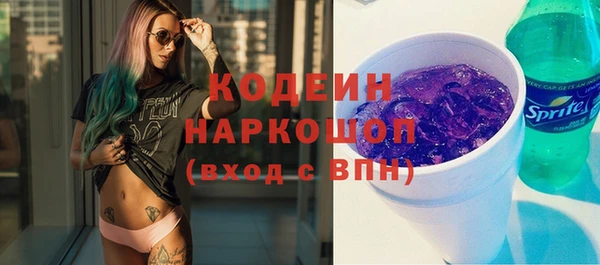 спиды Каменка