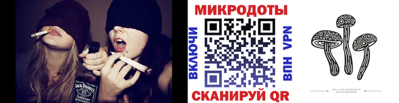 купить наркотик  Каргополь  Псилоцибиновые грибы Psilocybe 