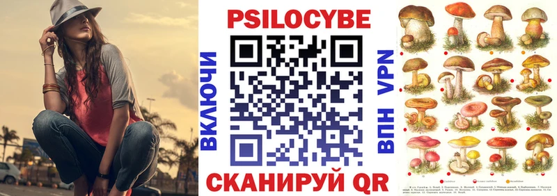 Псилоцибиновые грибы Cubensis Каргополь